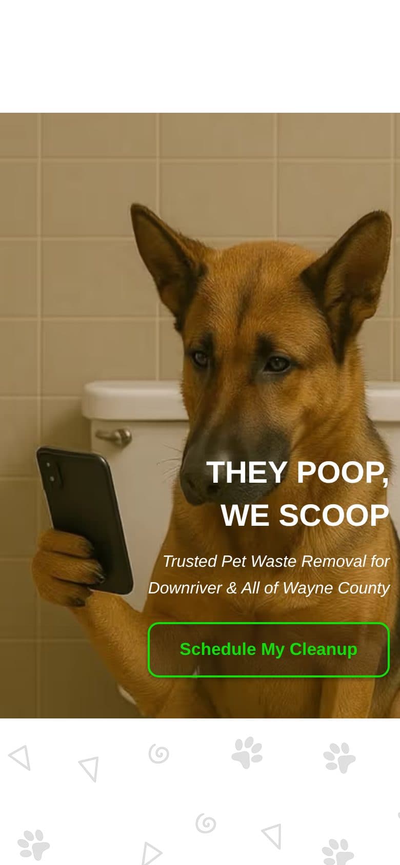 The Detroit Doo Disposal website, as it is published today